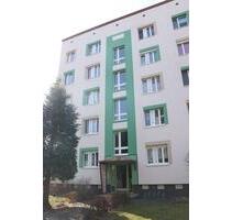 Vollmöblierte 3-Zimmer-Wohnung -Erdgeschoss - Cottbus Merzdorf