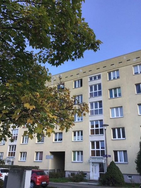 Praktische 2-Zimmer-Wohnung bezugsfertig ab Juni - Dresden Blasewitz