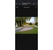 Красивая квартира - 350,00 EUR Kaltmiete, in Strausberg (PLZ: 15344)