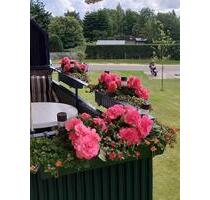 Schöne 3 Zimmer Wohnung in ruhiger und sozialer Lage! - Itzehoe