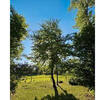 Freizeitgrundstück am Bach - 190,00 EUR Kaltmiete, ca.  0,00 m² in Garching bei München (PLZ: 85748)
