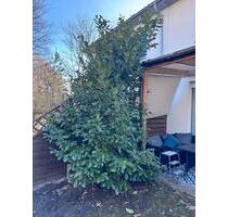 New Wohnung For Test Don't Call - Kleinmachnow