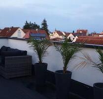 Moderne 3-Zimmer-Wohnung mit Dachterrasse & Garage in Lauingen – - Lauingen (Donau)