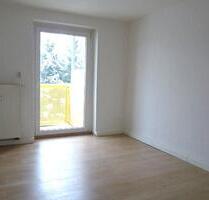 Gemütliche 2-Raum-Wohnung mit Balkon in der Delle - Riesa