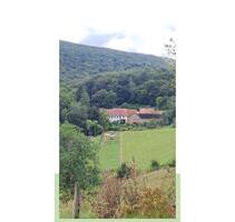 Leben in der Natur - 250.000,00 EUR Kaufpreis, in Hallgarten (PLZ: 67826)