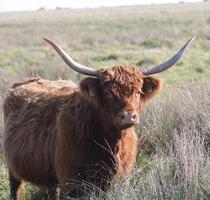 Ferienwohnung Küstenmari St. Peter-Ording - Hohenwestedt