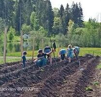 Fläche für Gemüseselbstversorger Garten zu verpachte - Habach