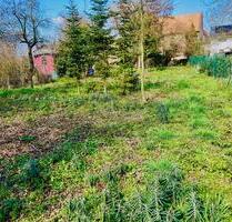 Freizeitgrundstück – Schrebergarten in 67127 Rödersheim-Gronau