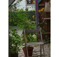 Wohnung in Rethwisch - 470,00 EUR Kaltmiete, ca.  73,00 m² in Admannshagen-Bargeshagen (PLZ: 18211)