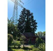 Garten zu Verpachten - 150,00 EUR Kaltmiete, ca.  0,00 m² in Stuttgart (PLZ: 70439) Neuwirtshaus
