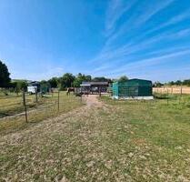 Koppel Weide Stall Pferdehaltung Reitanlage - Mommenheim