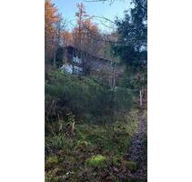 Verkauf EFH nahe Elmstein im Pfälzer Wald, 3ZKB, 90 qm - Hermersberg