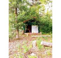 Abgelegenes Wochenendhaus mit eigenem Wald und Wiese - Wedemark