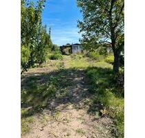 Pachtgarten in Apolda - 200,00 EUR Kaltmiete, ca.  0,00 m² in Apolda (PLZ: 99510)