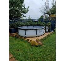 Eigentumsgarten - 13.000,00 EUR Kaufpreis, ca.  0,00 m² in Torgau (PLZ: 04860)