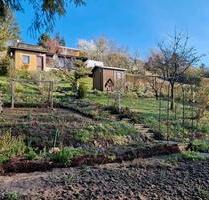 Garten in Königsee Kleingarten Pacht