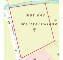 Grünland zu verpachten in Lauterbach Frischborn - Lauterbach (Hessen)