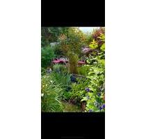 Charmante 2 Zimmer Gartenwohnung mit Hobbyraum+2 Stellplätzen - Bubenreuth