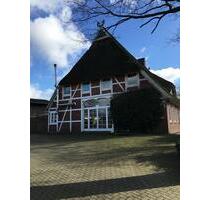 Wunderschönes Bauernhaus unter Reet - Kollow
