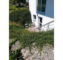 Geräumigte Kellergeschos Wohnung - Marktl