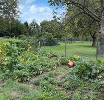 Schöner Garten in Ffm Kalbach ab 1.1.2026 verpachten - Frankfurt am Main Bonames