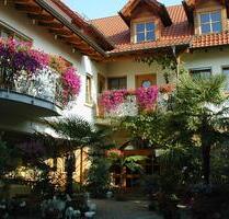60qm voll möblierte Wohnung m. Balkon in 67167 Erpolzheim