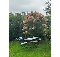 möblierte Kurzzeitmiete 2 Zi-Wohnung All-in 60 qm Neunkirchen-S. - Neunkirchen-Seelscheid