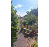 Großer Pachtgarten - 4.000,00 EUR Kaltmiete, ca.  0,00 m² in Kabelsketal (PLZ: 06184)