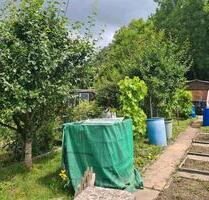 Nutzgarten in Völklingen am Eisweiher abzugeben