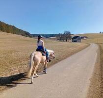 Ferienwohnung Bauernhof; Pferdehof, Bodensee, Hunde willkommen - Blumberg
