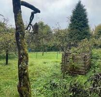 Garten und Freizeitgrundstück zu verpachten - Vaihingen an der Enz