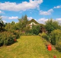 Kleingarten Schrebergarten im Brodweg 420m2 - Braunschweig Östliches Ringgebiet