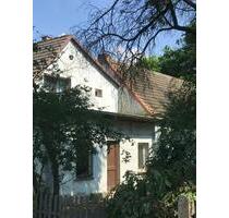 2 Doppelhaushälften, einzeln oder komplett, Stadtrandlage Bad - Bad Liebenwerda