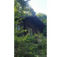 Nähe Trier 25 Km , Blockhaus im Wald