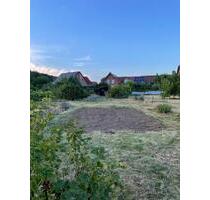 Kleingarten Bechtsbüttel 600m2 - 500,00 EUR Kaltmiete, ca.  0,00 m² in Meine (PLZ: 38527)