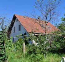 Freistehendes Haus in Brandenburg mit großem Grundstück - Herzberg (Elster)