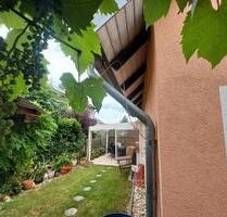 DHH mit EBK, Garten und Terrasse in Tegernheim Rbg zur Miete