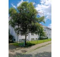 3-Zimmer Gemütlichkeit in Augsburg-Lechhausen
