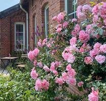 Teil einer Hofgemeinschaft am Dollart werden –Mehr als nur Wohnen - Bunde