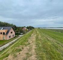 Last Minute Herbstferien 12.-19.10. direkt am Eiderdeich Nordsee - Tönning