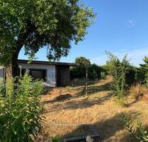 Garten Pachtgarten Kleingarten - 99,00 EUR Kaltmiete, ca.  0,00 m² in Schkeuditz (PLZ: 04435)
