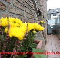 Ferienwohnung Silbersand am Silbersee - Haltern am See