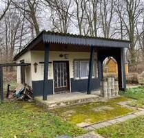 idyllischer, gepflegter Kleingarten, Schrebergarten, Pachtgarten - Colditz