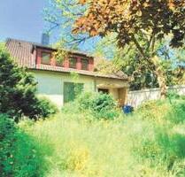 Gifhorn OT: Freistehendes Einfamilienhaus im Grünen zu vermieten!