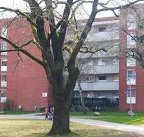 Etwas besonderes: weitläufige 3-Zimmer-Wohnung - Lüneburg Ebensberg