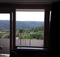 1 Zi.Wohnung Freudenstadt - 400,00&nbsp;EUR Kaltmiete, ca.&nbsp; 34,00&nbsp;m&sup2; in Freudenstadt (PLZ: 72250)