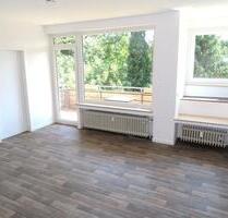 Für Singles: Renoviertes 1 Zimmer Apartment mit Balkon in ruhiger Lage in Kassel-Wolfsanger
