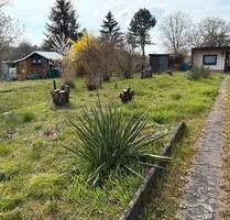 Kleingarten Pacht garten - 250,00 EUR Kaltmiete, ca.  0,00 m² in Elsteraue (PLZ: 06729)