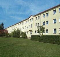 Hinein in die gute Stube - 355,00 EUR Kaltmiete, in Sangerhausen (PLZ: 06526)