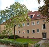 Sie verlegen den Boden, wir machen den Rest! - Braunschweig Wabe-Schunter-Beberbach
